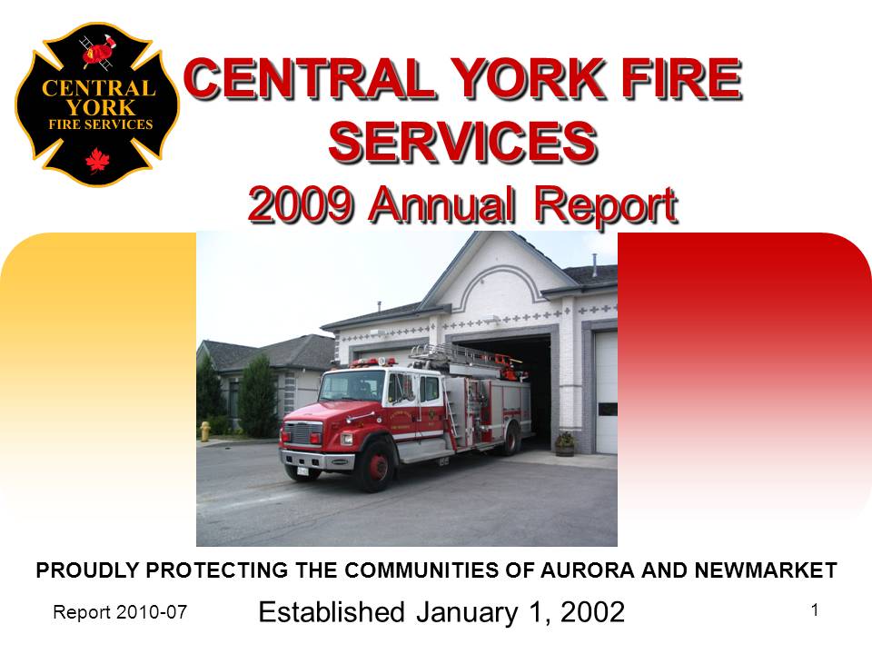 2009 report image