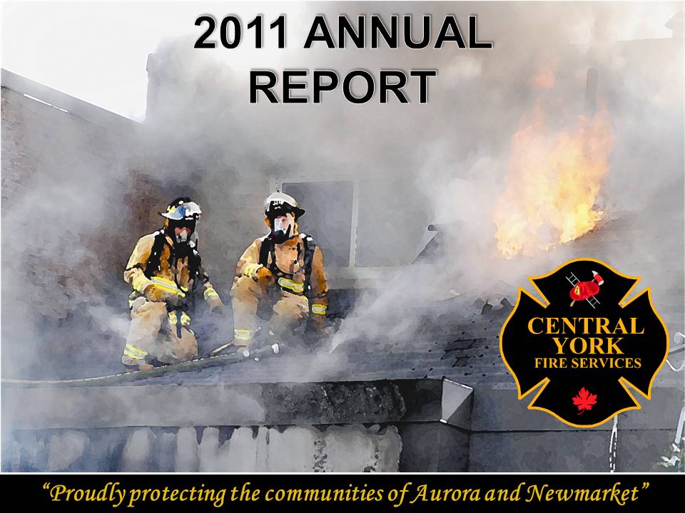 2011 report image